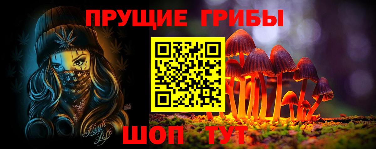 Тихвин  где найти   Вход с VPN  Псилоцибиновые грибы Psilocybine cubensis  Псилоцибиновые грибы Psilocybe 